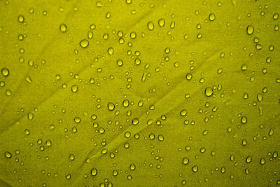 Macro shot of water drops on yellow leaf