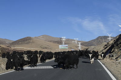 Road passing through mountains against blue sky