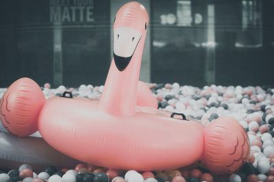 Close-up of toy on pink toys