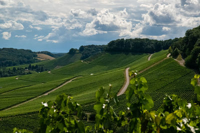 Scenic view of agricultural field against sky