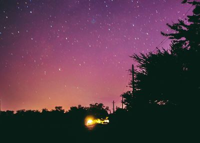 Trees against sky at night