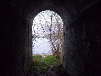 View of old wall and trees in tunnel