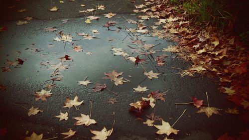 High angle view of reflection in water