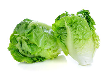 Close-up of green leaf against white background