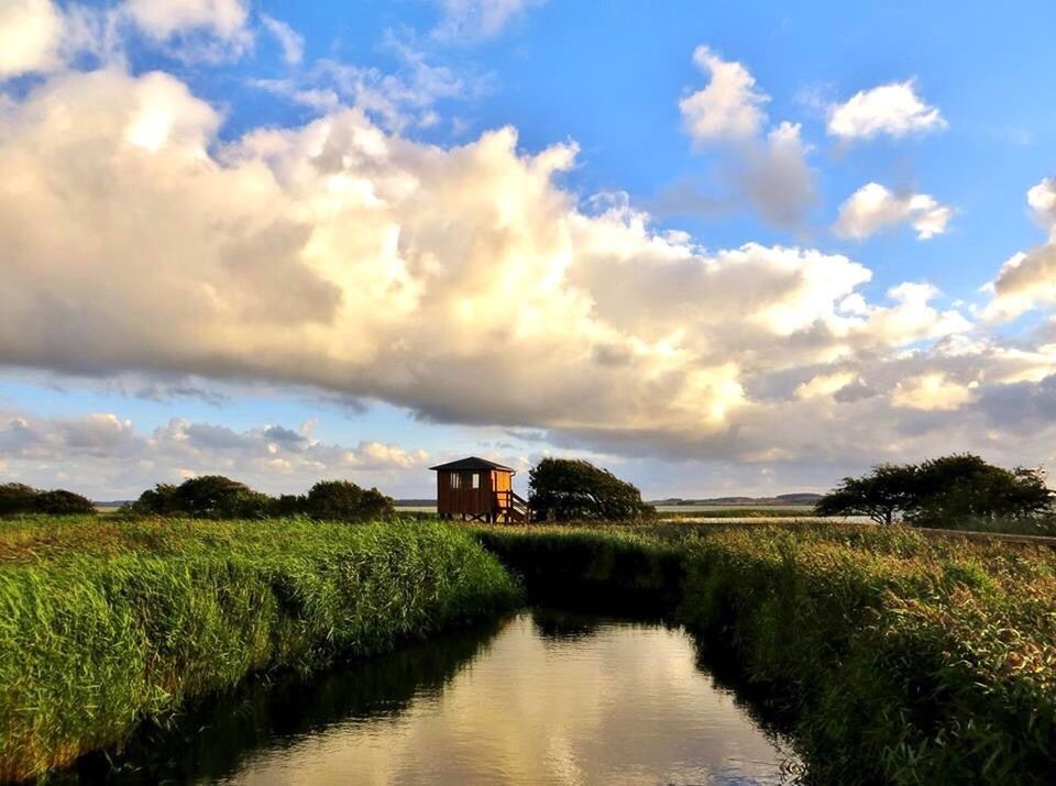 cloud - sky, sky, plant, tranquil scene, scenics - nature, grass, tranquility, water, beauty in nature, nature, no people, field, landscape, architecture, growth, land, built structure, day, rural scene, outdoors