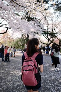 Rear view of woman with cherry blossom in city