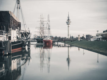 Sailboats in marina