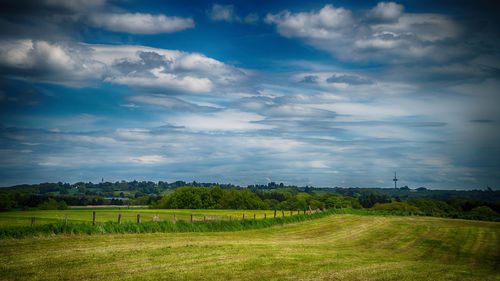 Scenic view of field against sky