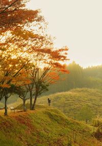 Trees on field against sky during autumn