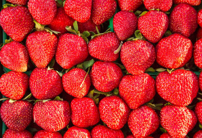 Full frame shot of strawberries