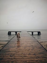 Pier on sea