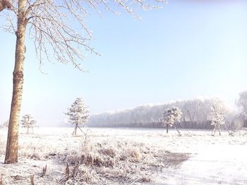 Scenic view of lake against clear sky