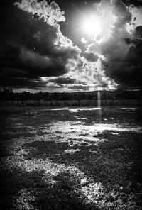 Scenic view of field against sky during sunset