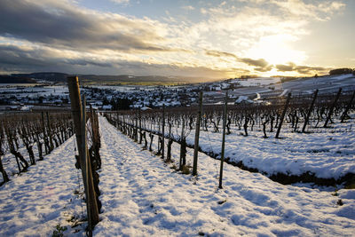 Wooden fence on snow covered field against sky