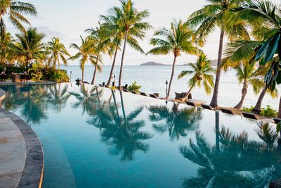 Palm trees by swimming pool against sky