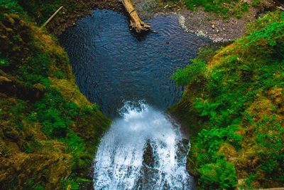 High angle view of waterfall in forest