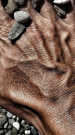 Cropped image of hand holding stones