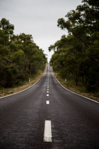 Road passing through trees