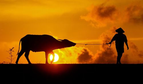 Silhouette men standing against orange sky during sunset