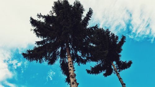 Low angle view of silhouette tree against sky