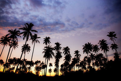 Low angle view of silhouette palm trees against romantic sky