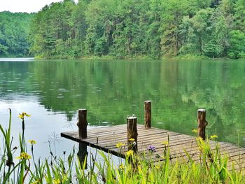 Scenic view of lake by trees against sky