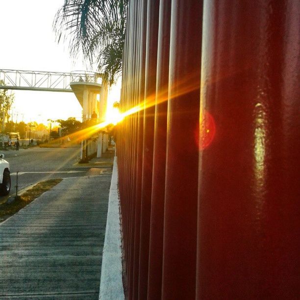 tree, built structure, sunlight, architecture, sunset, building exterior, orange color, lens flare, sunbeam, no people, outdoors, the way forward, railing, transportation, sun, day, empty, yellow, house, tree trunk