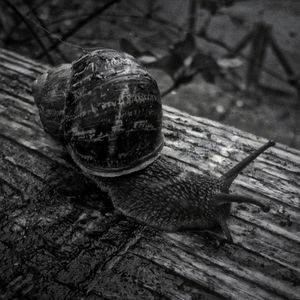 Close-up of wooden planks on wooden plank