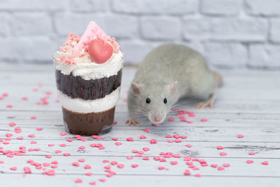 Close-up of dessert on table