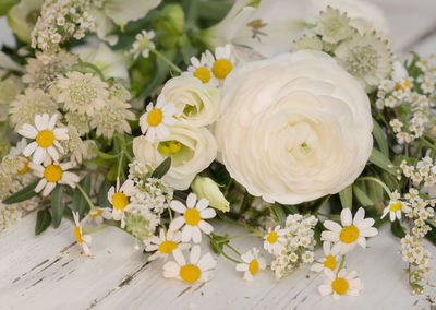 High angle view of white daisy flowers on table