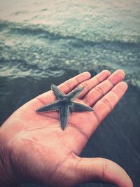 Close-up of hand holding starfish against sea