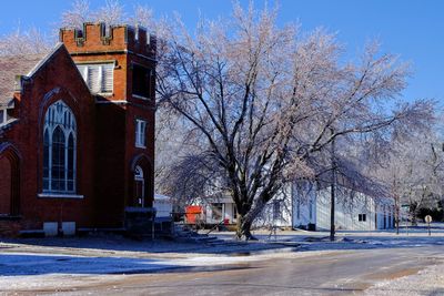 Trees in city against sky during winter