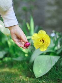 The hand of a little girl is holding a chocolate easter egg.