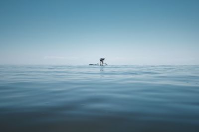 Person in sea against clear sky