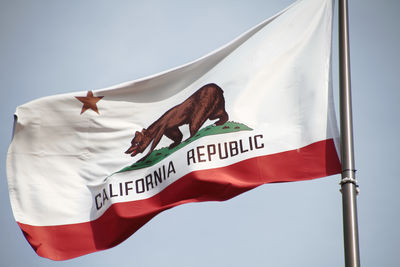 Close-up of flag sign against sky