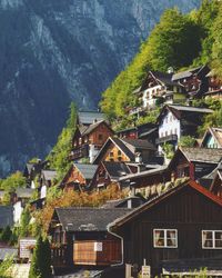 Houses and trees against mountain