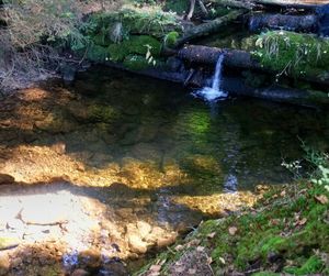 High angle view of water flowing through rocks