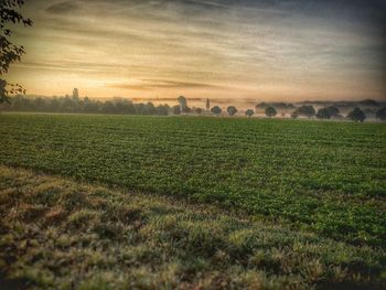 Scenic view of agricultural field against sky