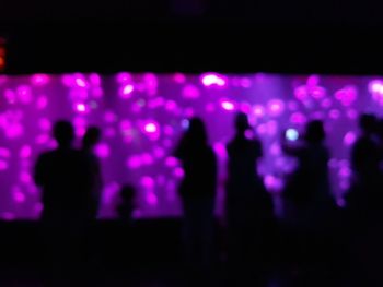 Silhouette of people at music concert