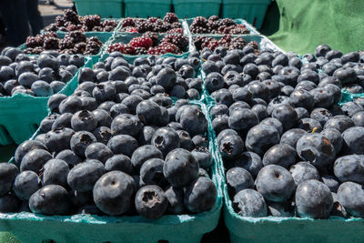 Close-up of fruits for sale