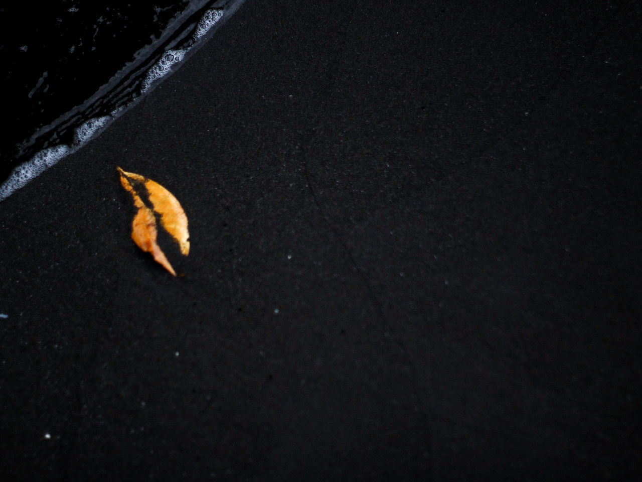 HIGH ANGLE VIEW OF A BLACK CAT