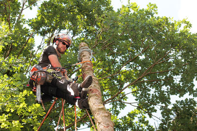 The dead spruce stands close to the house, the expert sets it up