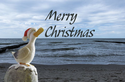 View of bird perching on beach against sky