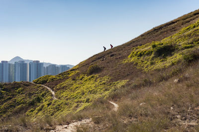 Scenic view of mountain against clear sky