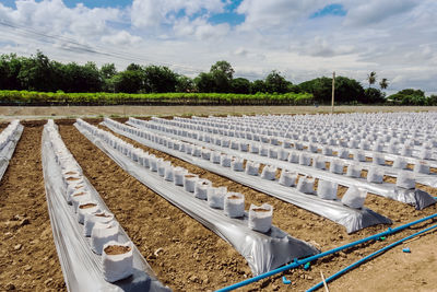 Panoramic shot of agricultural field against sky