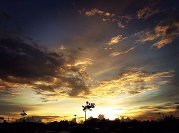 Silhouette of trees at sunset