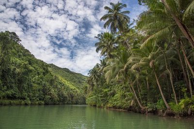 Scenic view of river by trees against sky