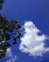 Low angle view of trees against blue sky