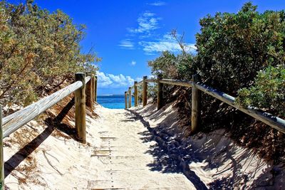 Walkway amidst railing and plant at beach against sky