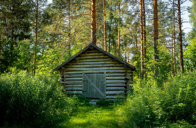 Built structure in forest